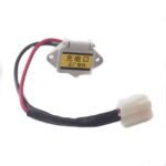 Tricycle charging interface